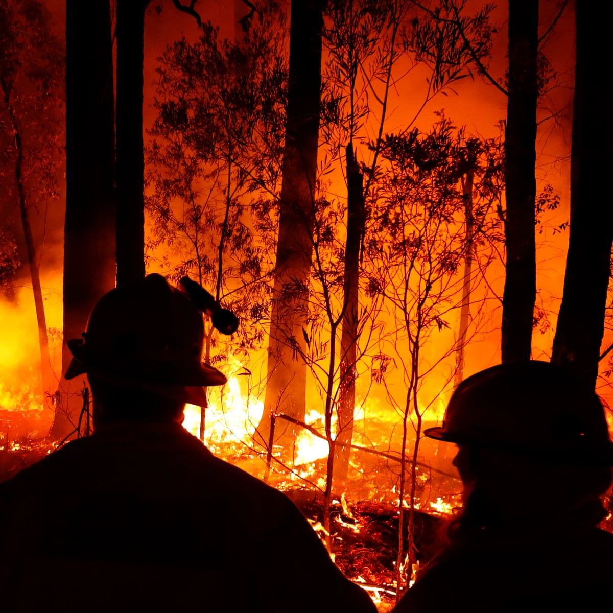 What Causes a Bushfire?