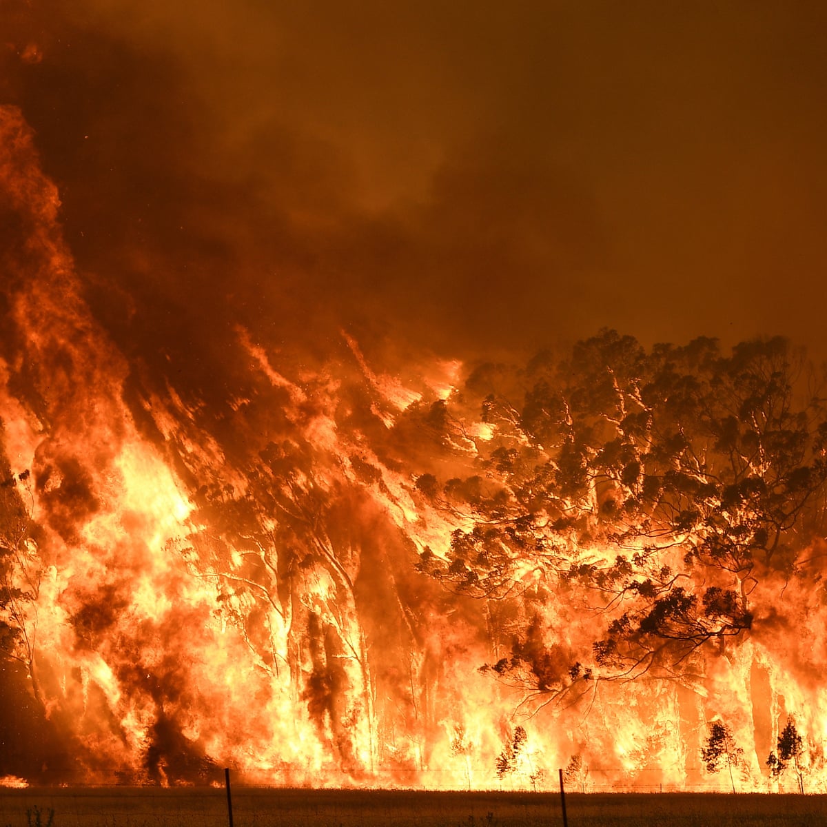 How To Prepare a Bushfire Management Plan?